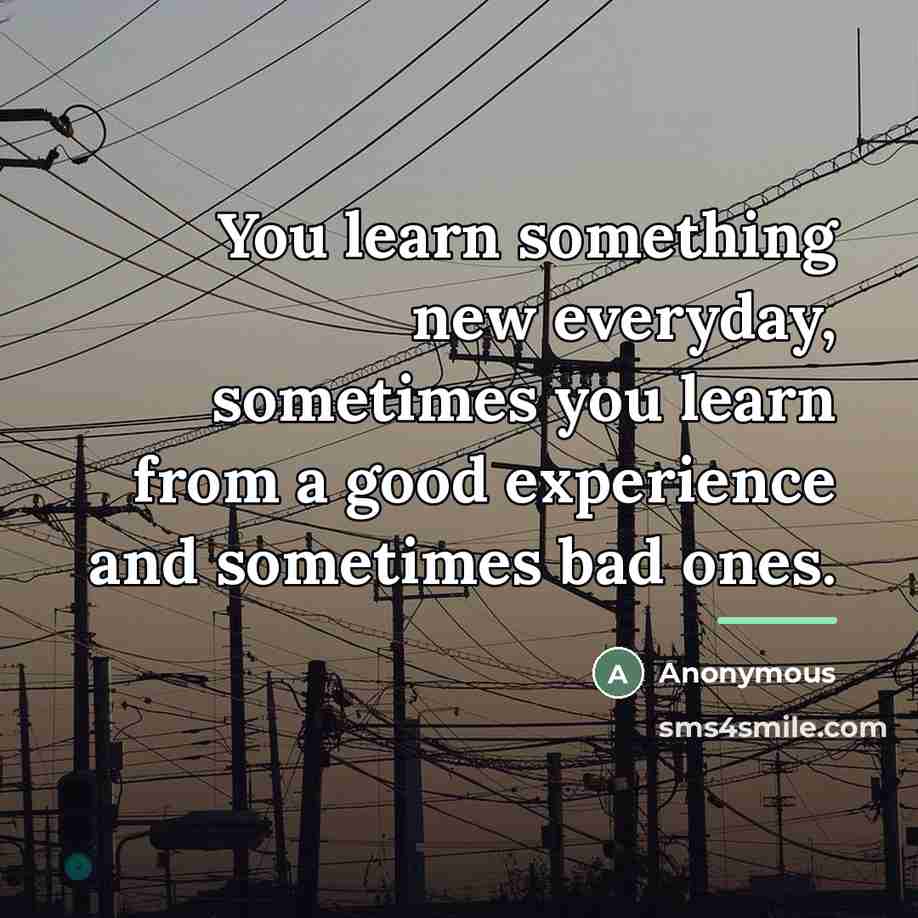 “You learn something new everyday, sometimes you learn from a…” quote by Anonymous
