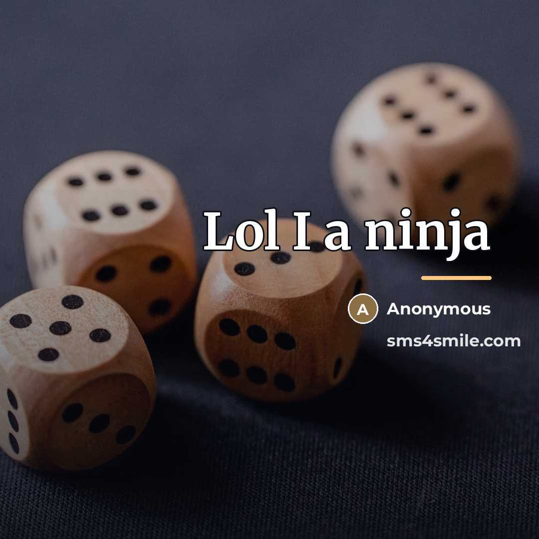 “Lol I a ninja…” quote by Anonymous