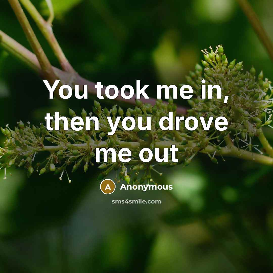 “You took me in, then you drove me out…” quote by Anonymous