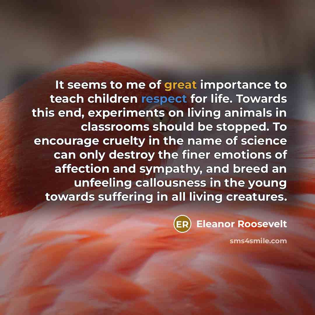 “It seems to me of great importance to teach children…” quote by Eleanor Roosevelt