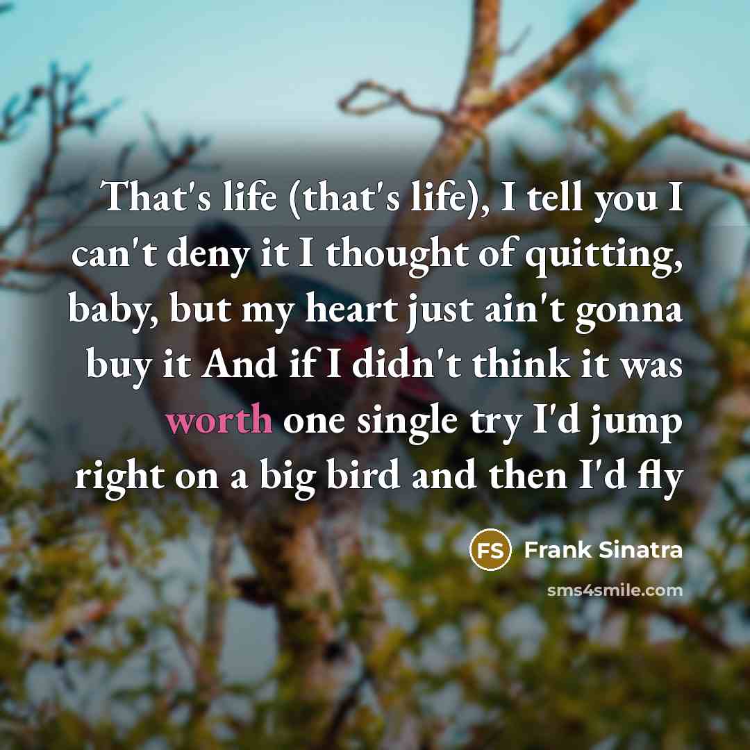 “That's life (that's life), I tell you I can't deny…” quote by Frank Sinatra