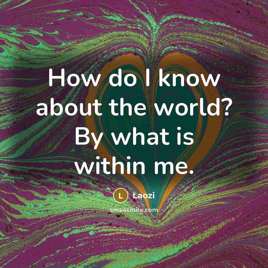 “How do I know about the world? By what is…” quote by Laozi
