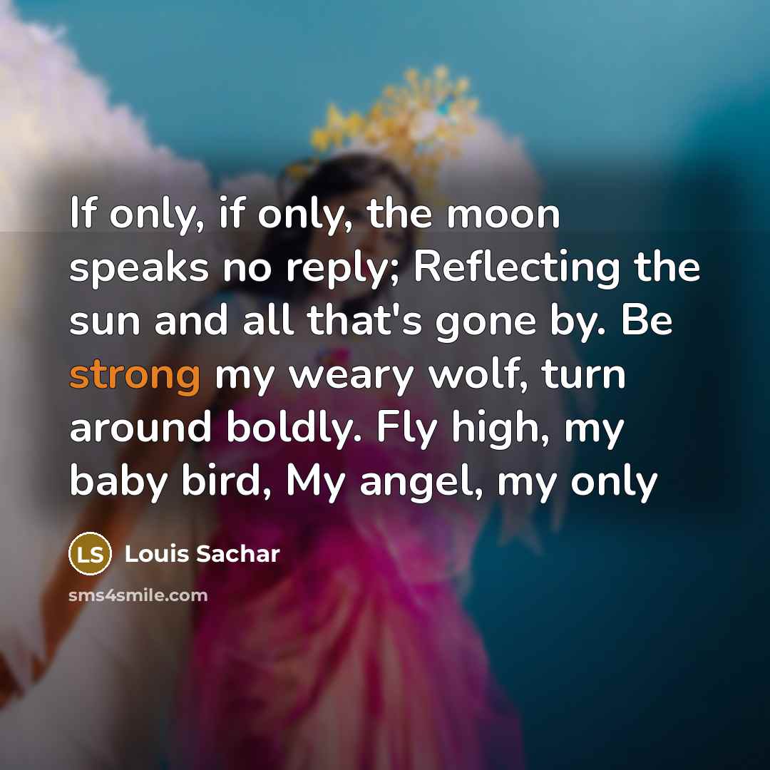 “If only, if only, the moon speaks no reply; Reflecting…” quote by Louis Sachar