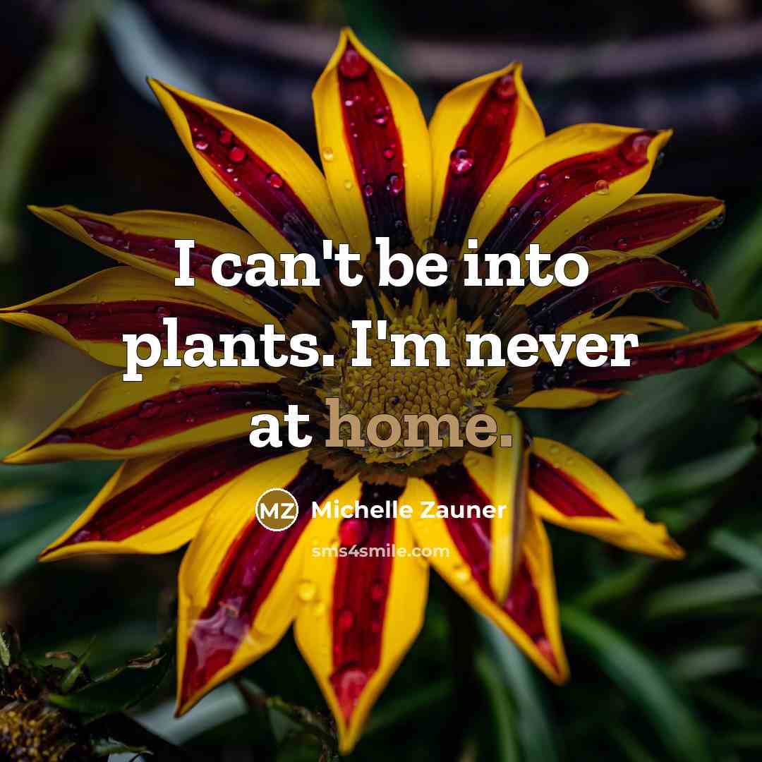 “I can't be into plants. I'm never at home.…” quote by Michelle Zauner