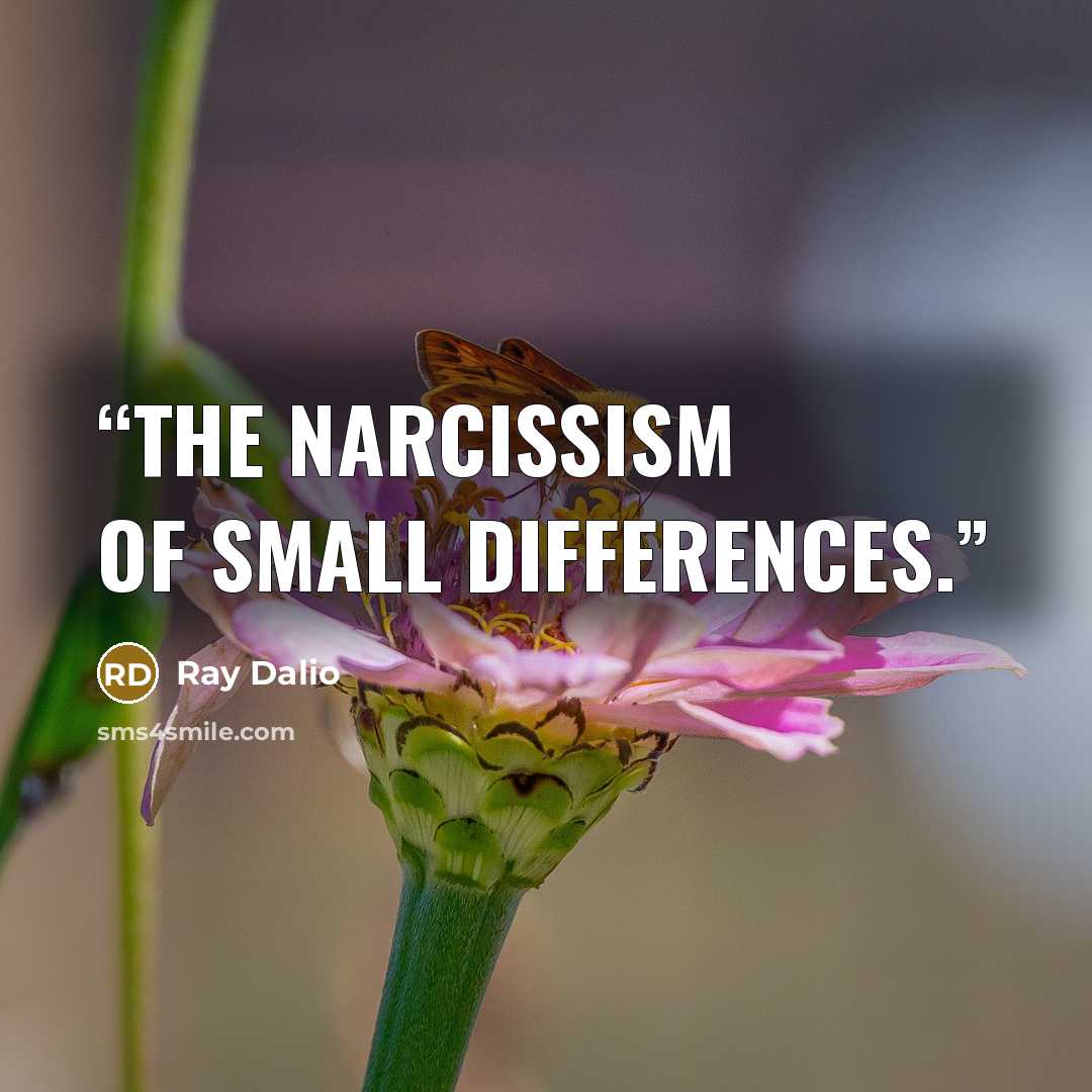 “the narcissism of small differences.” quote by Ray Dalio