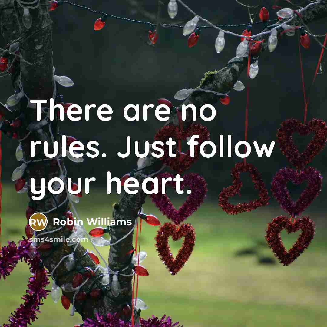 “There are no rules. Just follow your heart.…” quote by Robin Williams