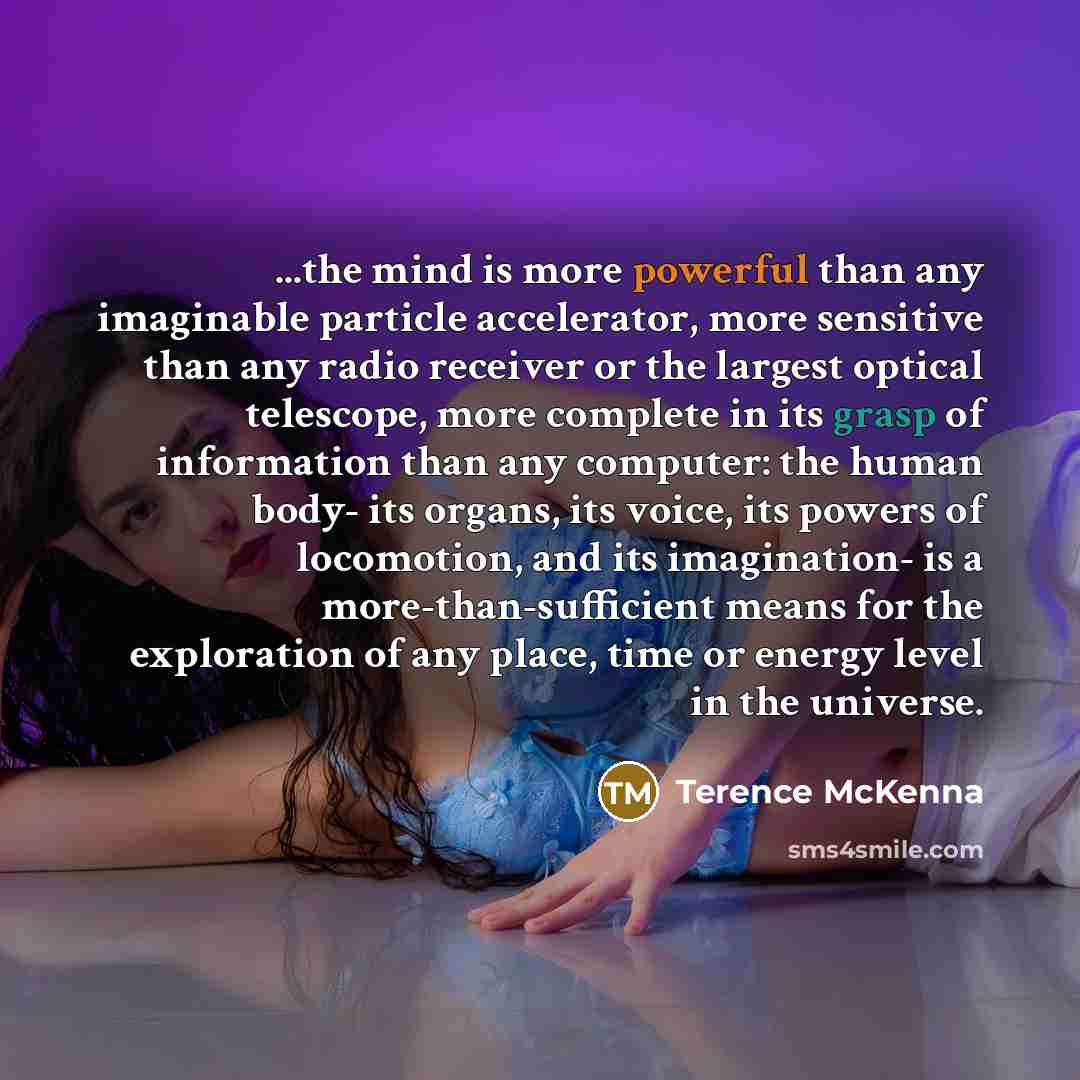 “...the mind is more powerful than any imaginable particle accelerator,…” quote by Terence McKenna