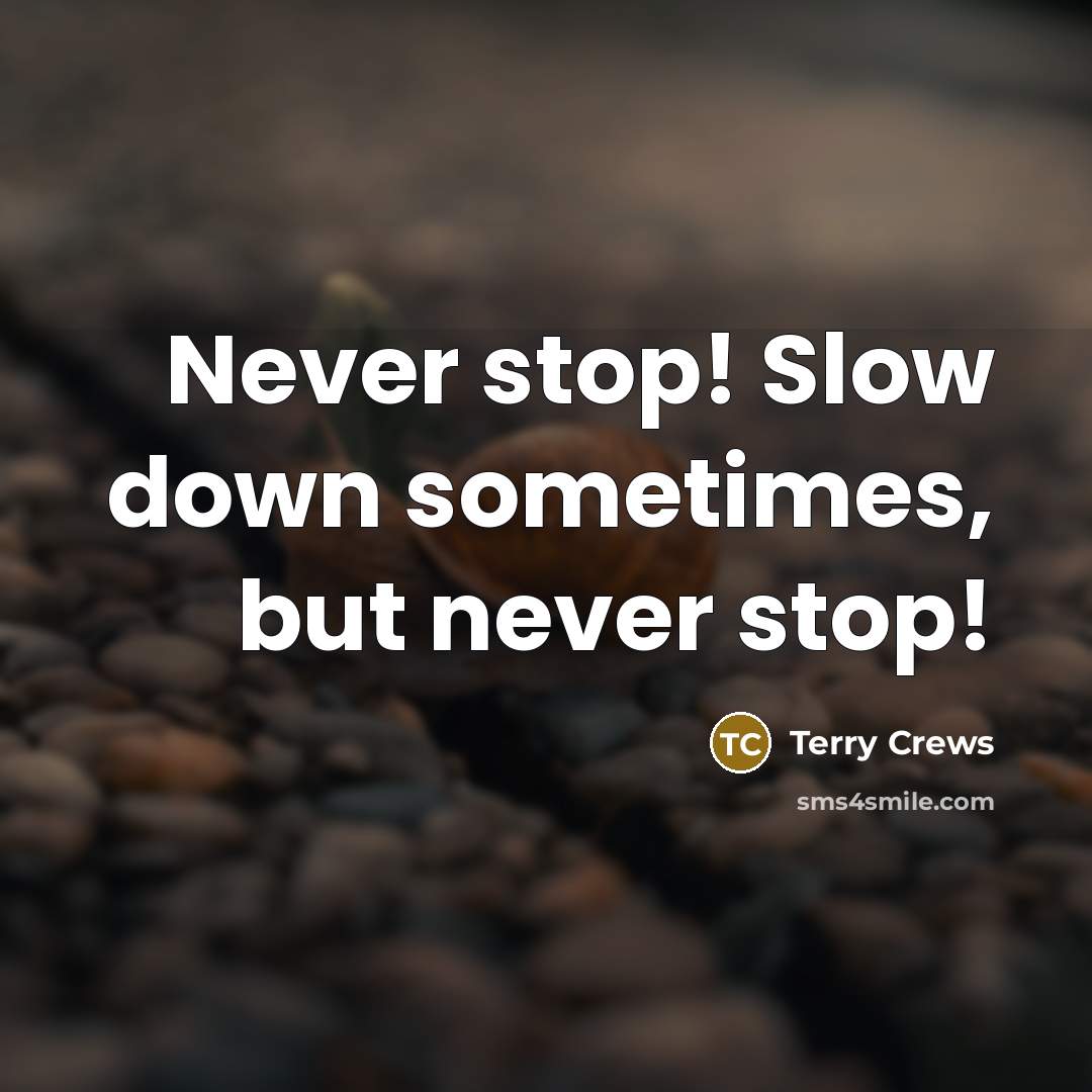 “Never stop! Slow down sometimes, but never stop!” quote by Terry Crews