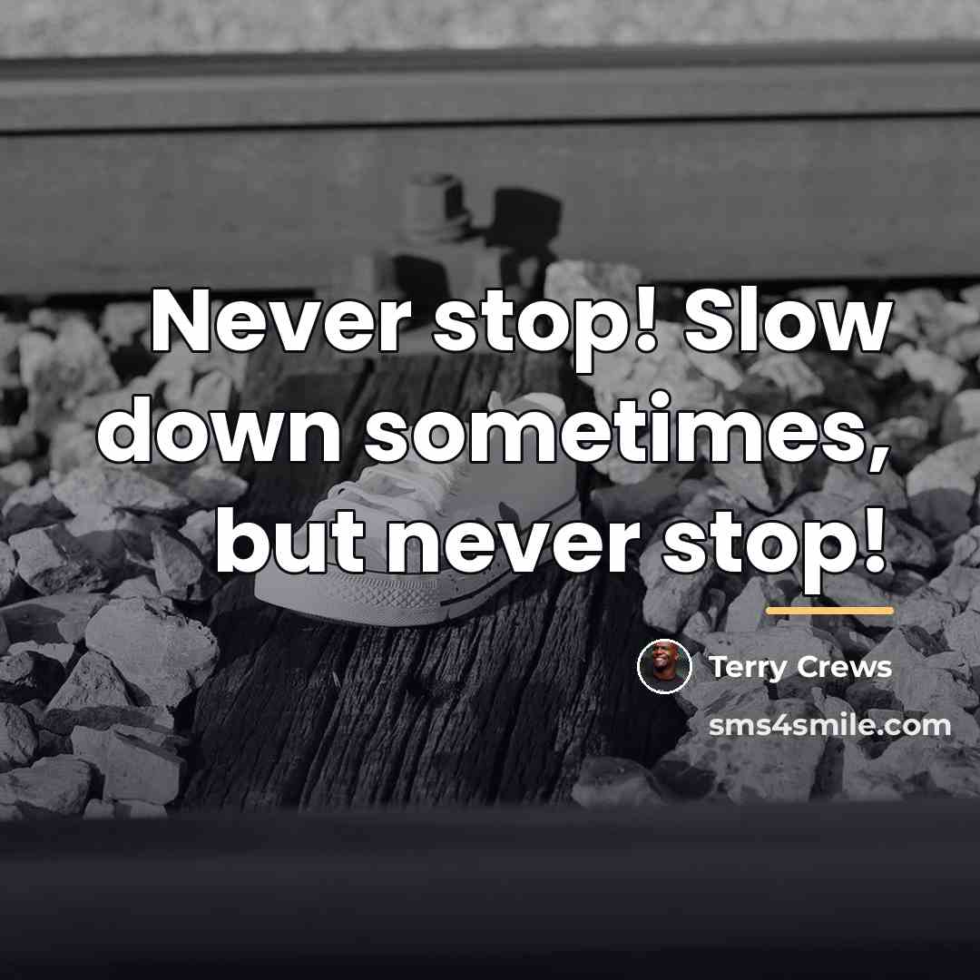 “Never stop! Slow down sometimes, but never stop!…” quote by Terry Crews