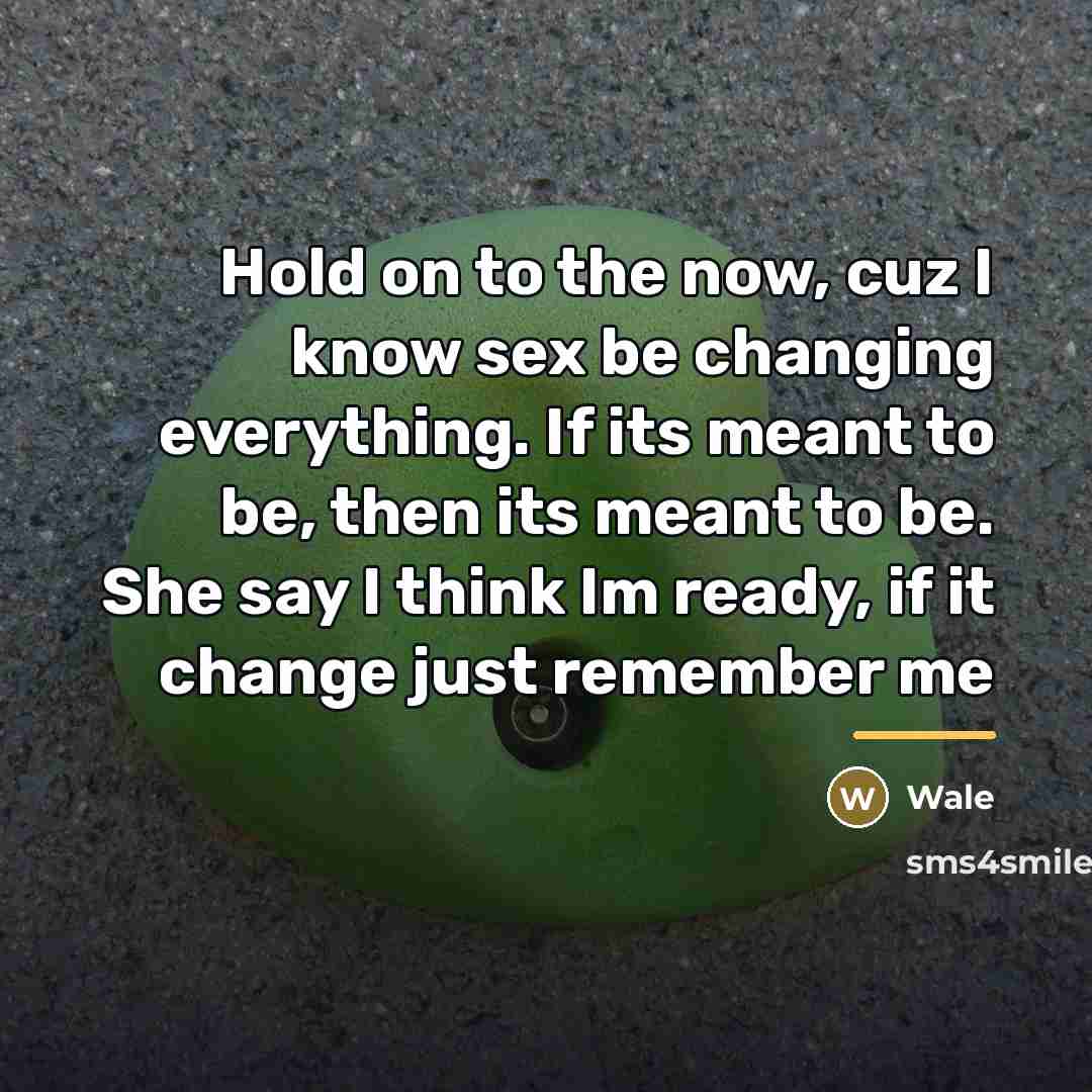 “Hold on to the now, cuz I know sex be…” quote by Wale