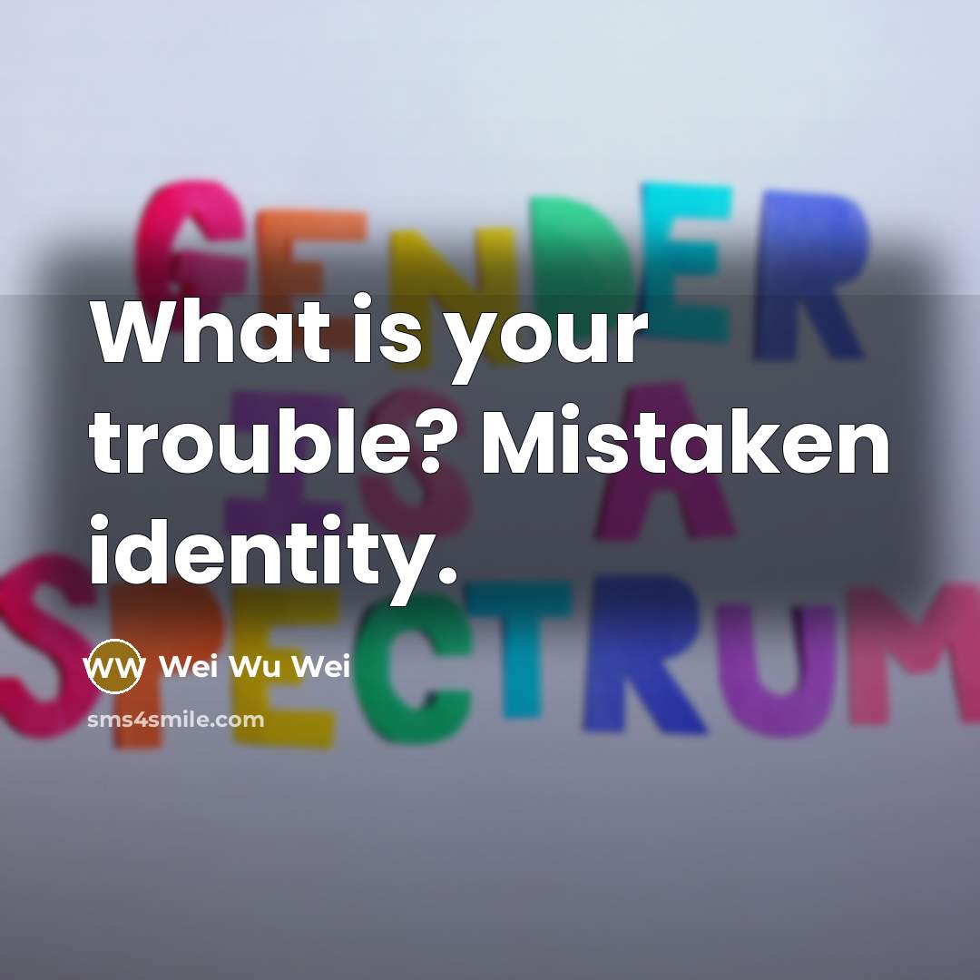 “What is your trouble? Mistaken identity.…” quote by Wei Wu Wei