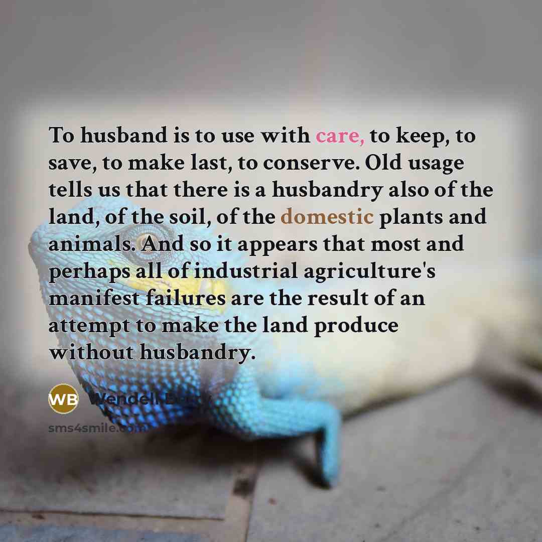 “To husband is to use with care, to keep, to…” quote by Wendell Berry