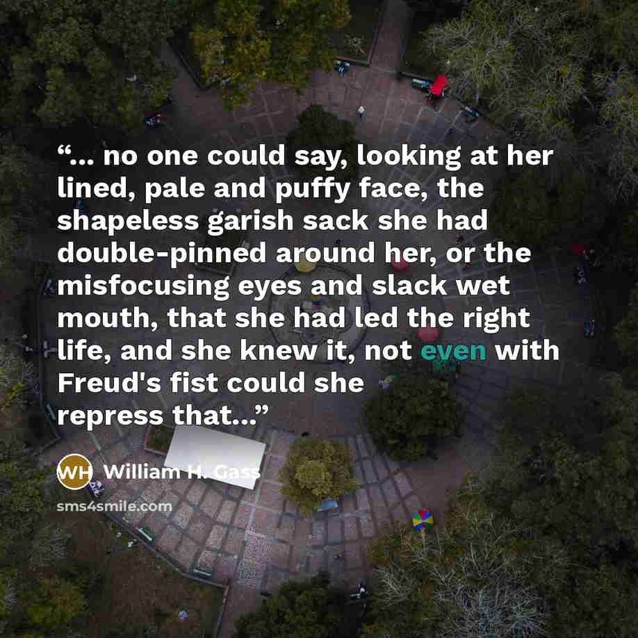 “... no one could say, looking at her lined, pale and puffy face, the shapeless garish sack she had double-pinned around her, or the misfocusing eyes and slack wet mouth, that she had led the right life, and she knew it, not even with Freud's fist could she repress that...” quote by William H. Gass