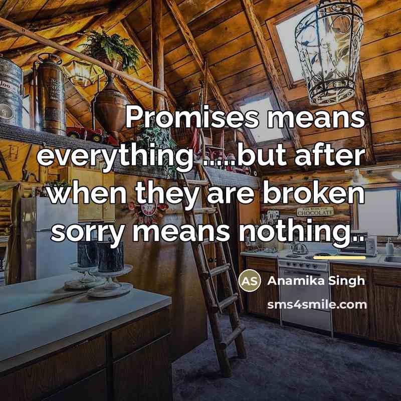 “Promises means everything .....but after when they are broken sorry…” quote by Anamika Singh