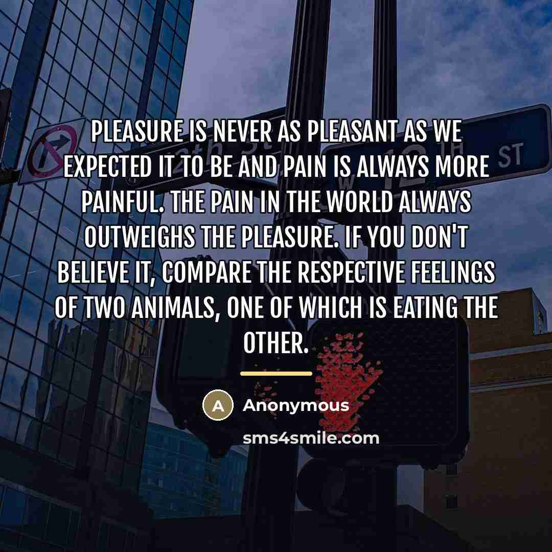 “Pleasure is never as pleasant as we expected it to…” quote by Anonymous