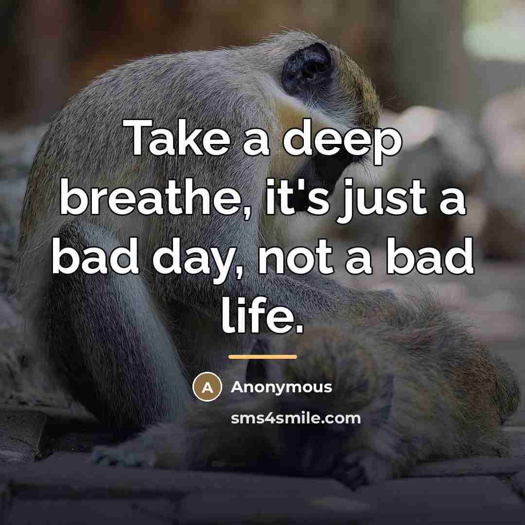“Take a deep breathe, it's just a bad day, not…” quote by Anonymous