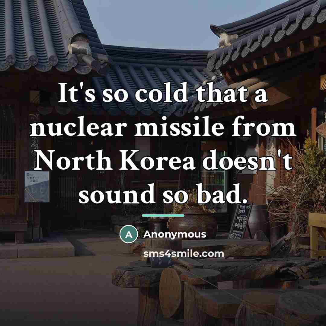 “It's so cold that a nuclear missile from North Korea…” quote by Anonymous