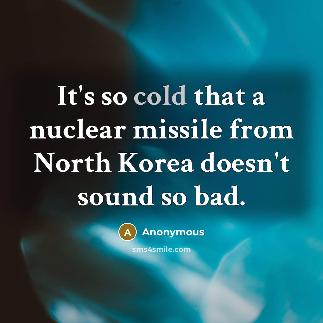 “It's so cold that a nuclear missile from North Korea doesn't sound so bad.” quote by Anonymous