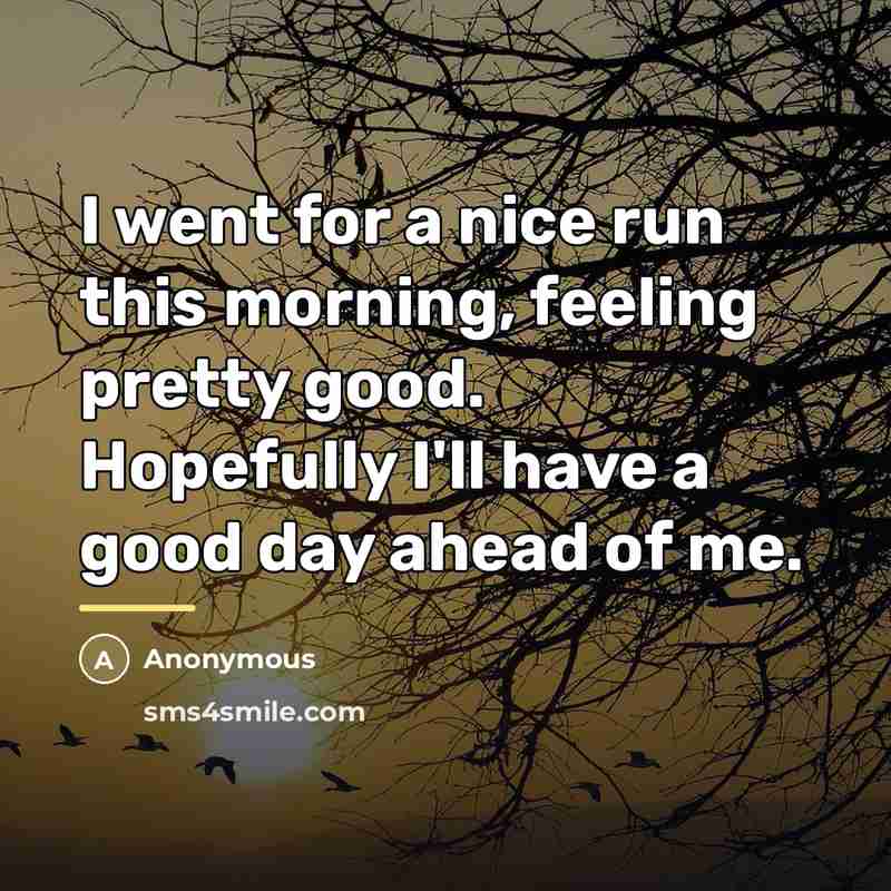 “I went for a nice run this morning, feeling pretty…” quote by Anonymous