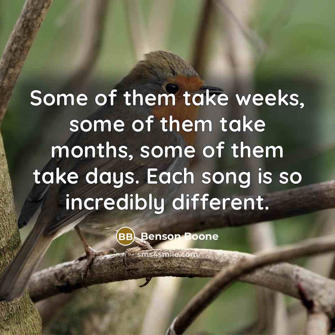 “Some of them take weeks, some of them take months,…” quote by Benson Boone