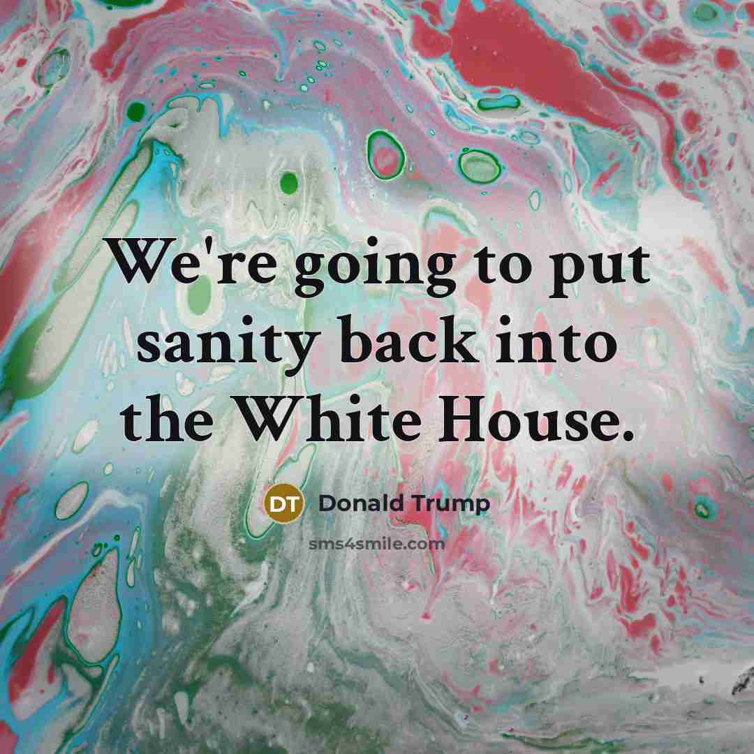 “We`re going to put sanity back into the White House.…” quote by Donald Trump