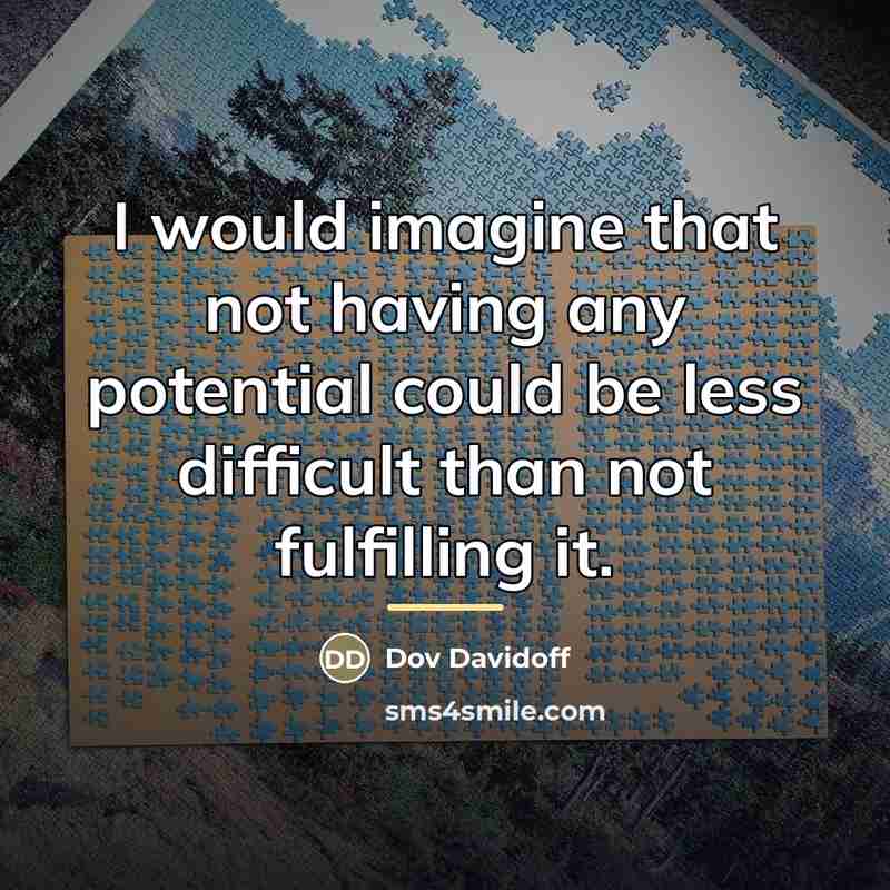 “I would imagine that not having any potential could be…” quote by Dov Davidoff