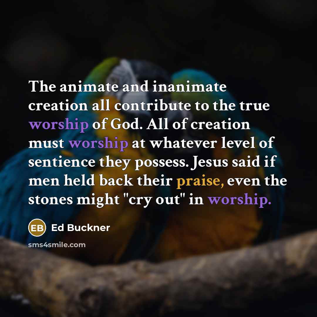 “The animate and inanimate creation all contribute to the true…” quote by Ed Buckner