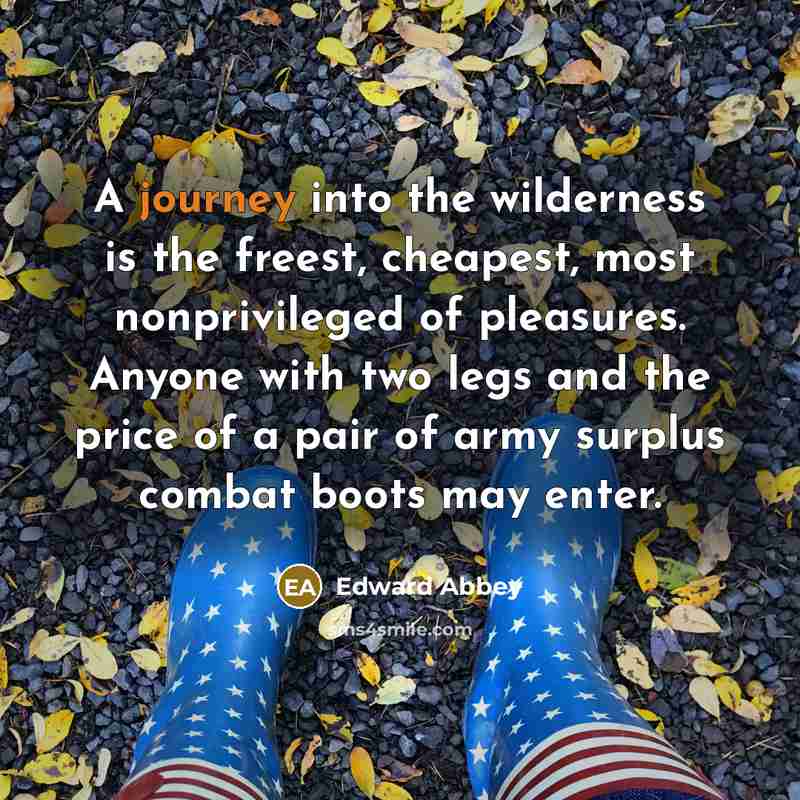 “A journey into the wilderness is the freest, cheapest, most…” quote by Edward Abbey