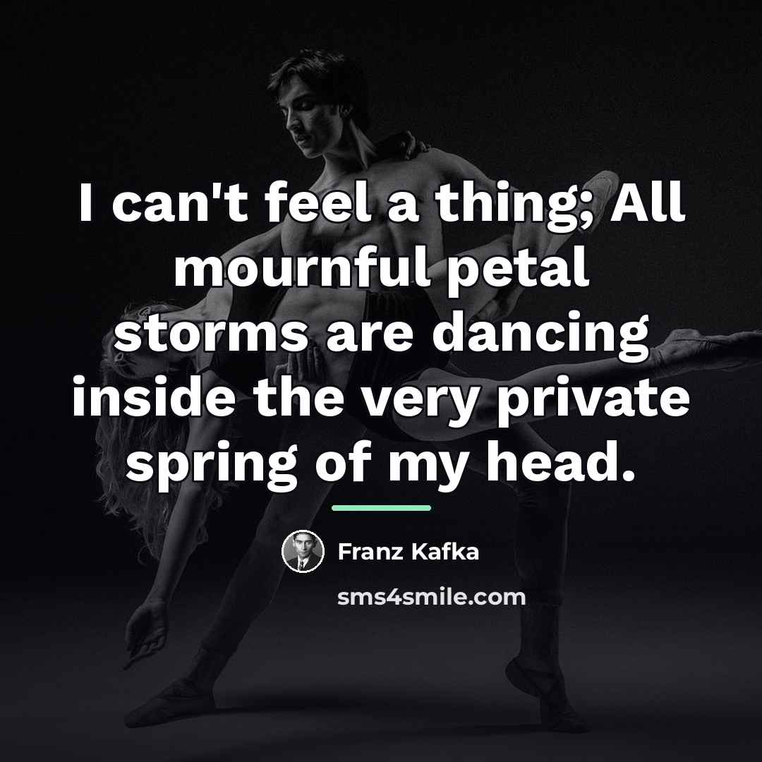 “I can't feel a thing; All mournful petal storms are…” quote by Franz Kafka