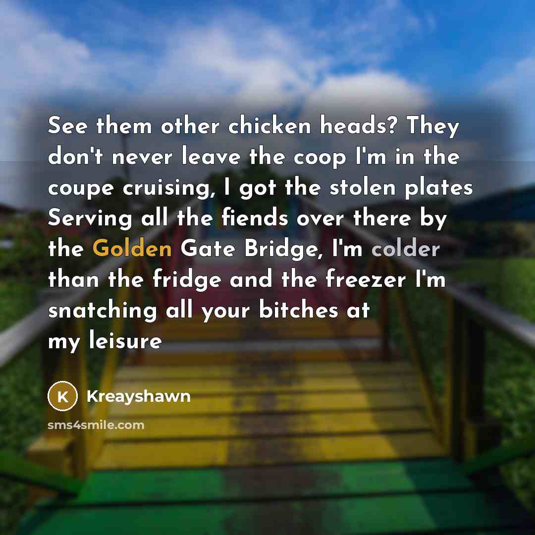 “See them other chicken heads? They don't never leave the coop I'm in the coupe cruising, I got the stolen plates Serving all the fiends over there by the Golden Gate Bridge, I'm colder than the fridge and the freezer I'm snatching all your bitches at my leisure” quote by Kreayshawn