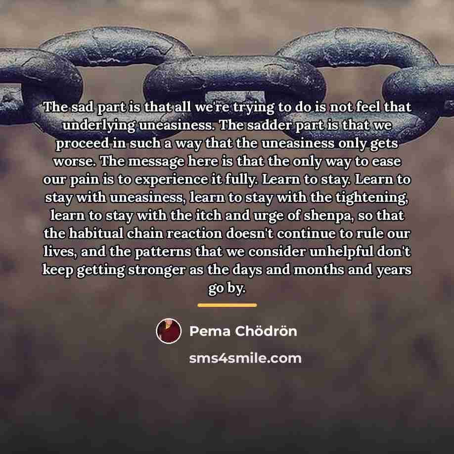 “The sad part is that all we're trying to do…” quote by Pema Chodron