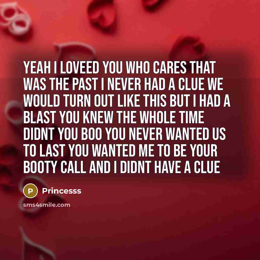 “Yeah I loveed you who cares that was the past I never had a clue We would turn out like this but I had a blast You knew the whole time didnt you boo You never wanted us to last You wanted me to be your booty call and I didnt have a clue” quote by Princesss