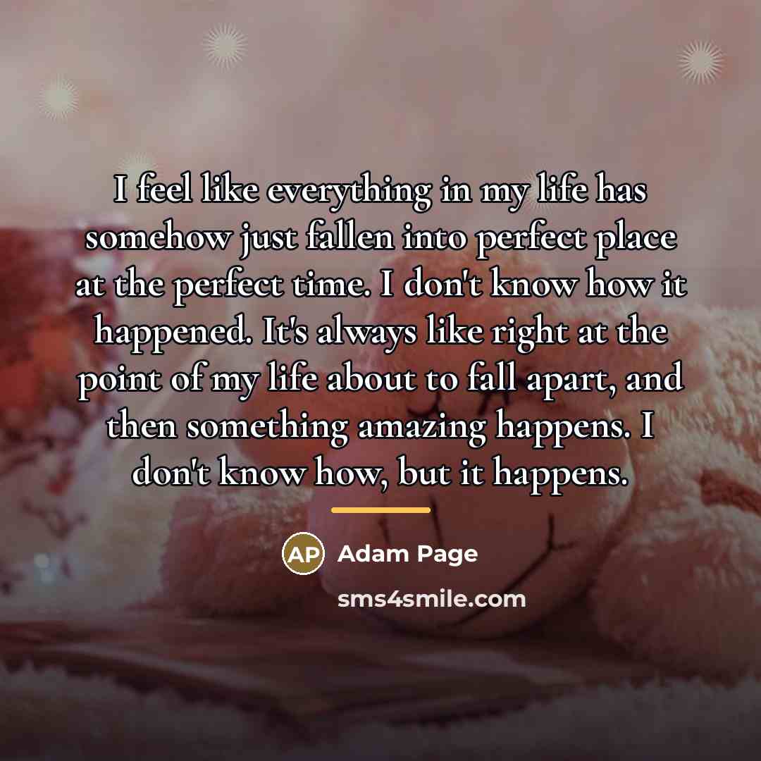 “I feel like everything in my life has somehow just…” quote by Adam Page