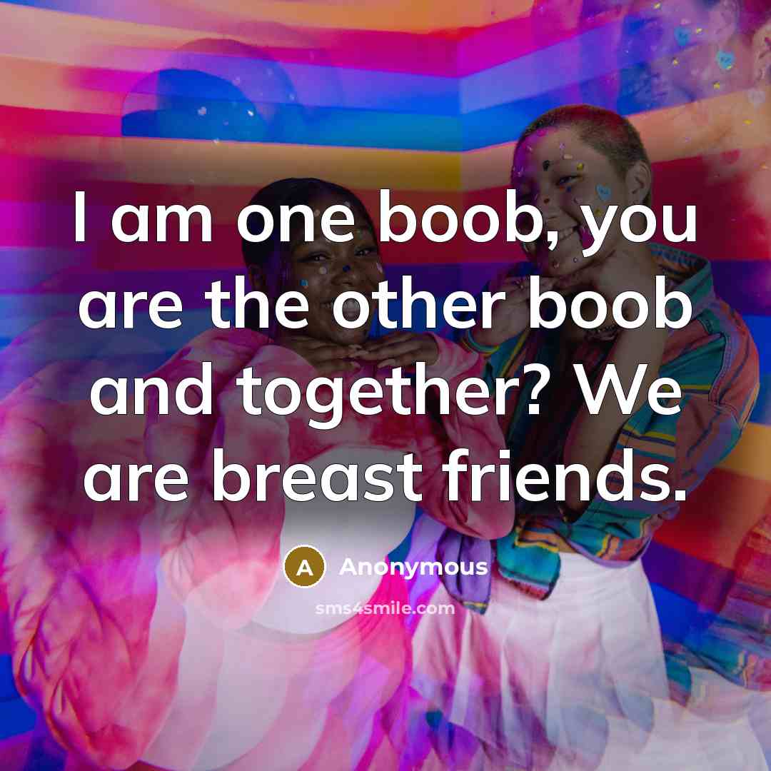 “I am one boob, you are the other boob and…” quote by Anonymous