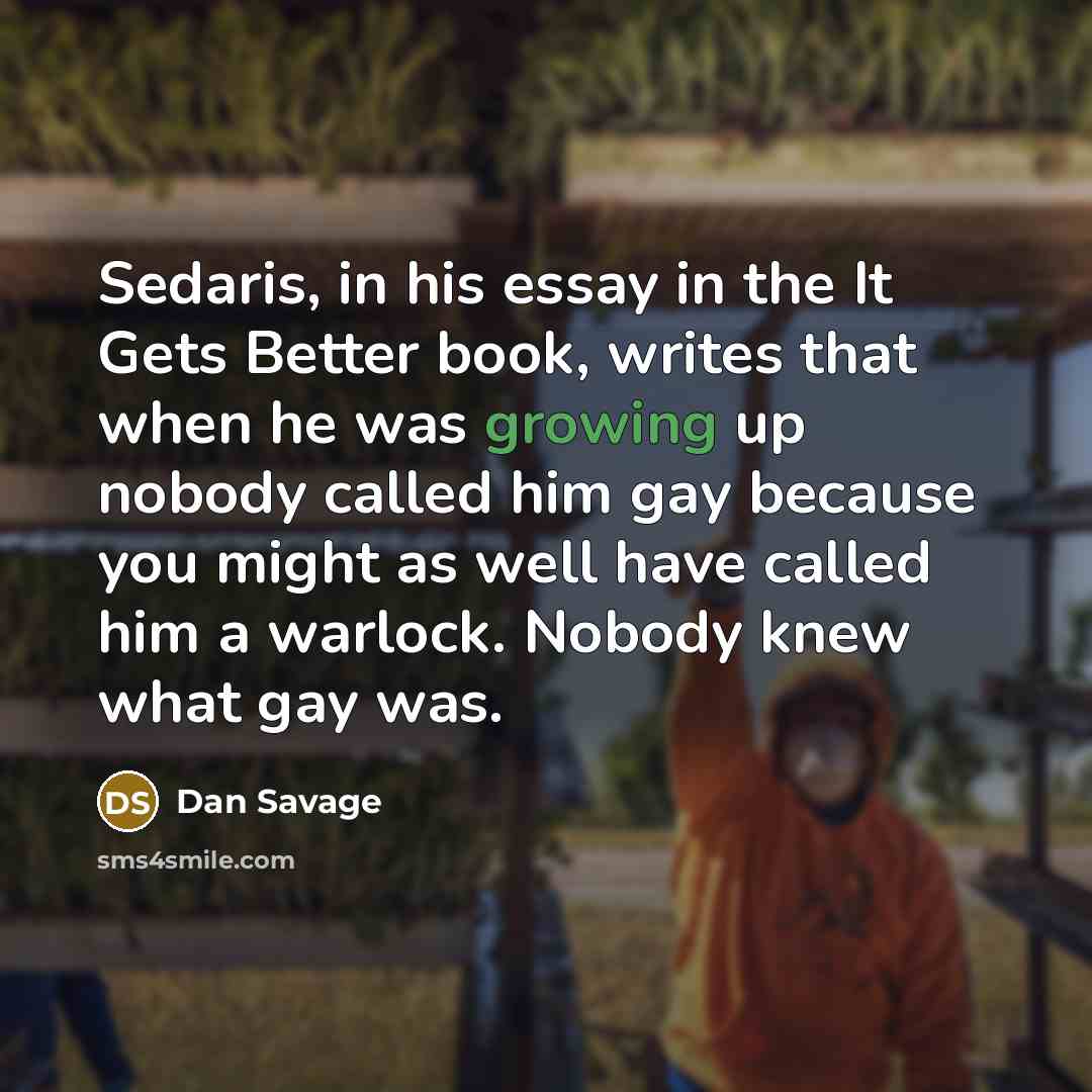 “Sedaris, in his essay in the It Gets Better book,…” quote by Dan Savage