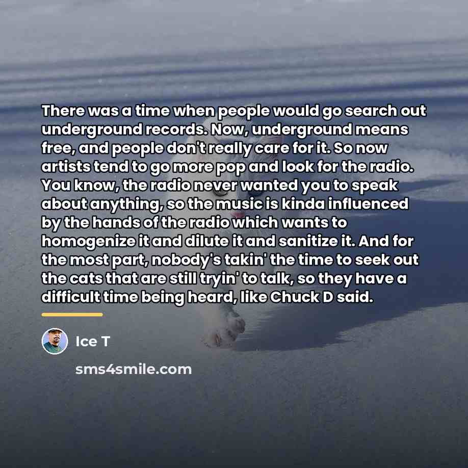 “There was a time when people would go search out…” quote by Ice T