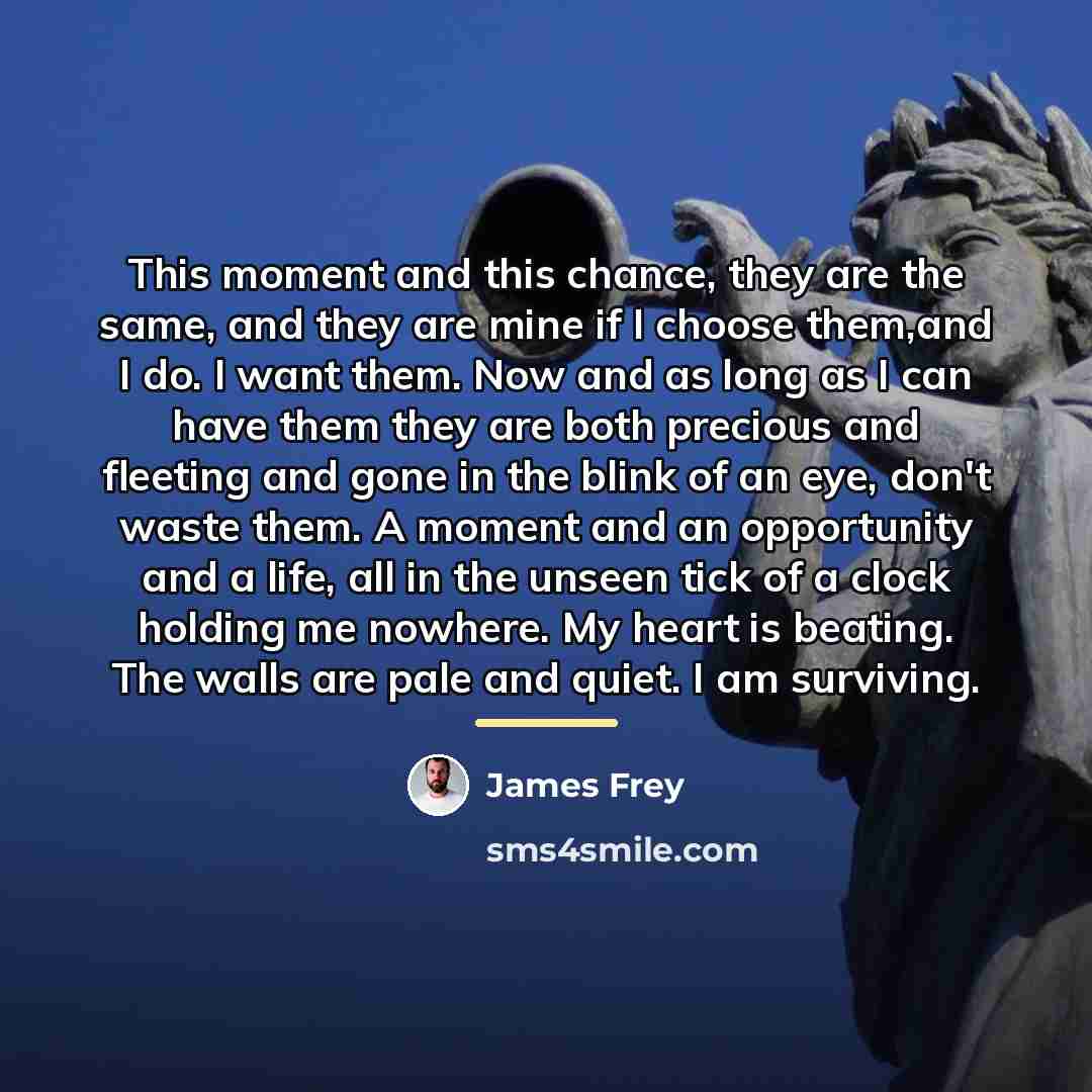 “This moment and this chance, they are the same, and…” quote by James Frey