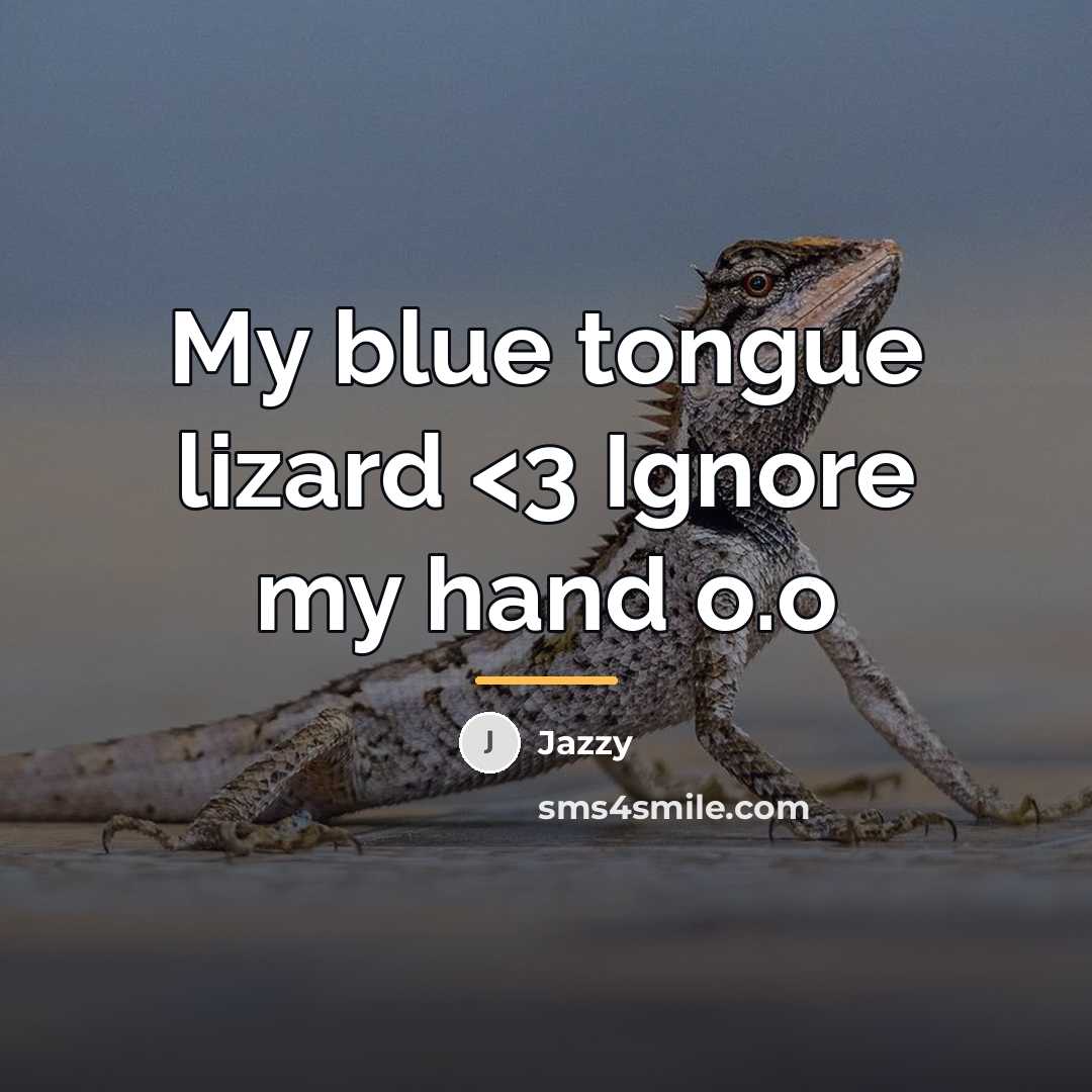 “My blue tongue lizard…” quote by Jazzy