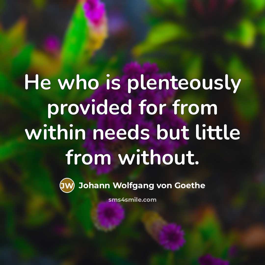 “He who is plenteously provided for from within needs but…” quote by Johann Wolfgang von Goethe