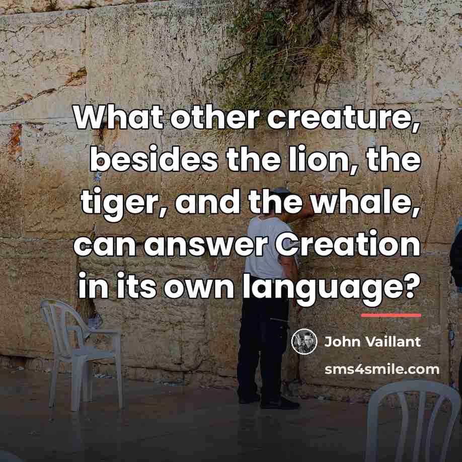 “What other creature, besides the lion, the tiger, and the…” quote by John Vaillant