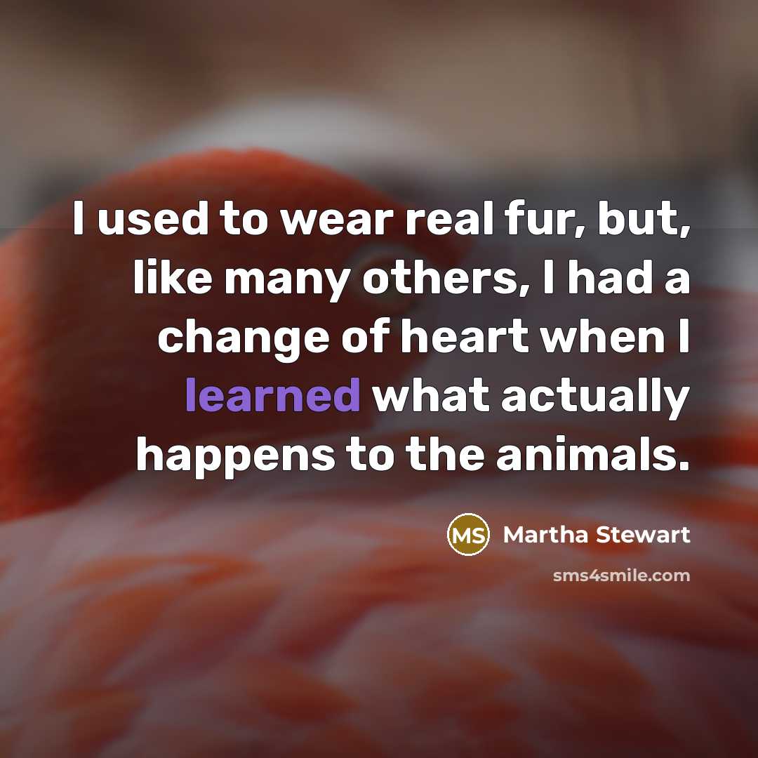 “I used to wear real fur, but, like many others,…” quote by Martha Stewart
