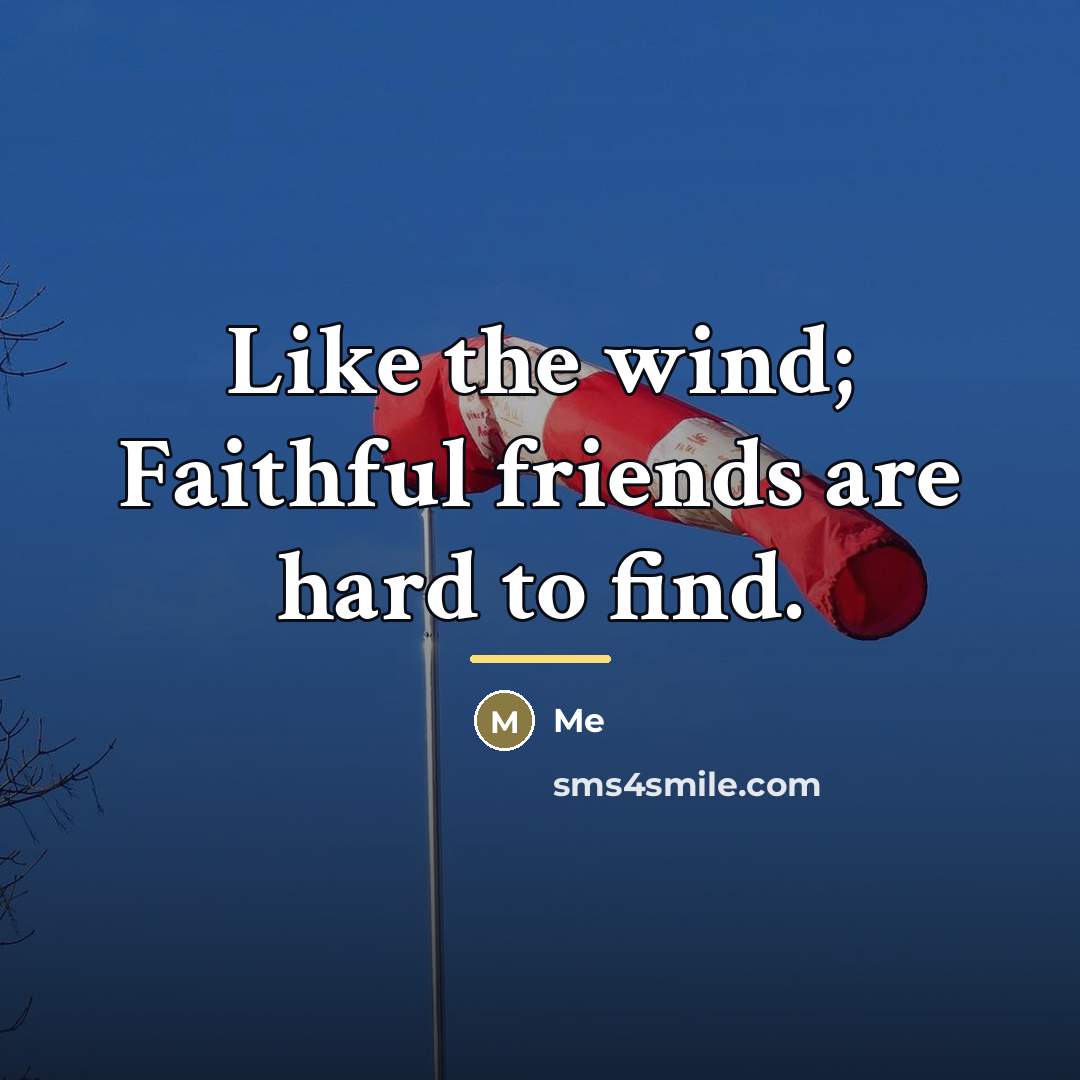 “Like the wind; Faithful friends are hard to find.…” quote by Me