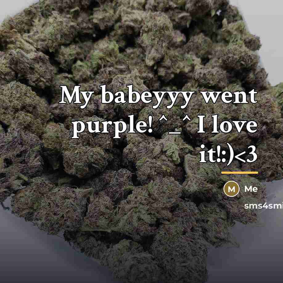 “My babeyyy went purple! ^_^ I love it!:)…” quote by Me