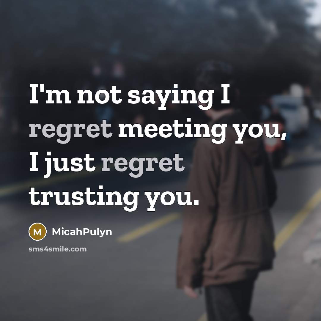 “I'm not saying I regret meeting you, I just regret…” quote by MicahPulyn
