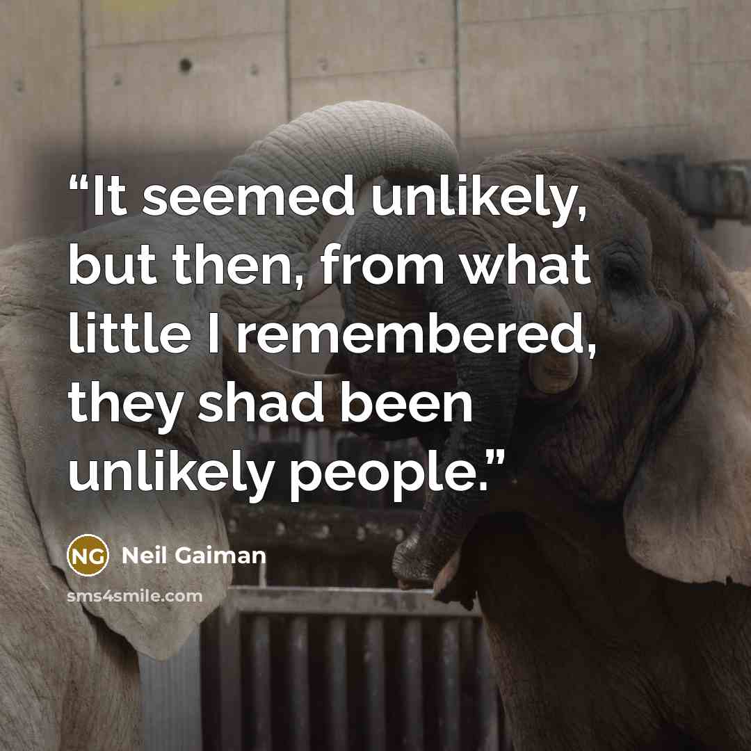 “It seemed unlikely, but then, from what little I remembered, they shad been unlikely people.” quote by Neil Gaiman