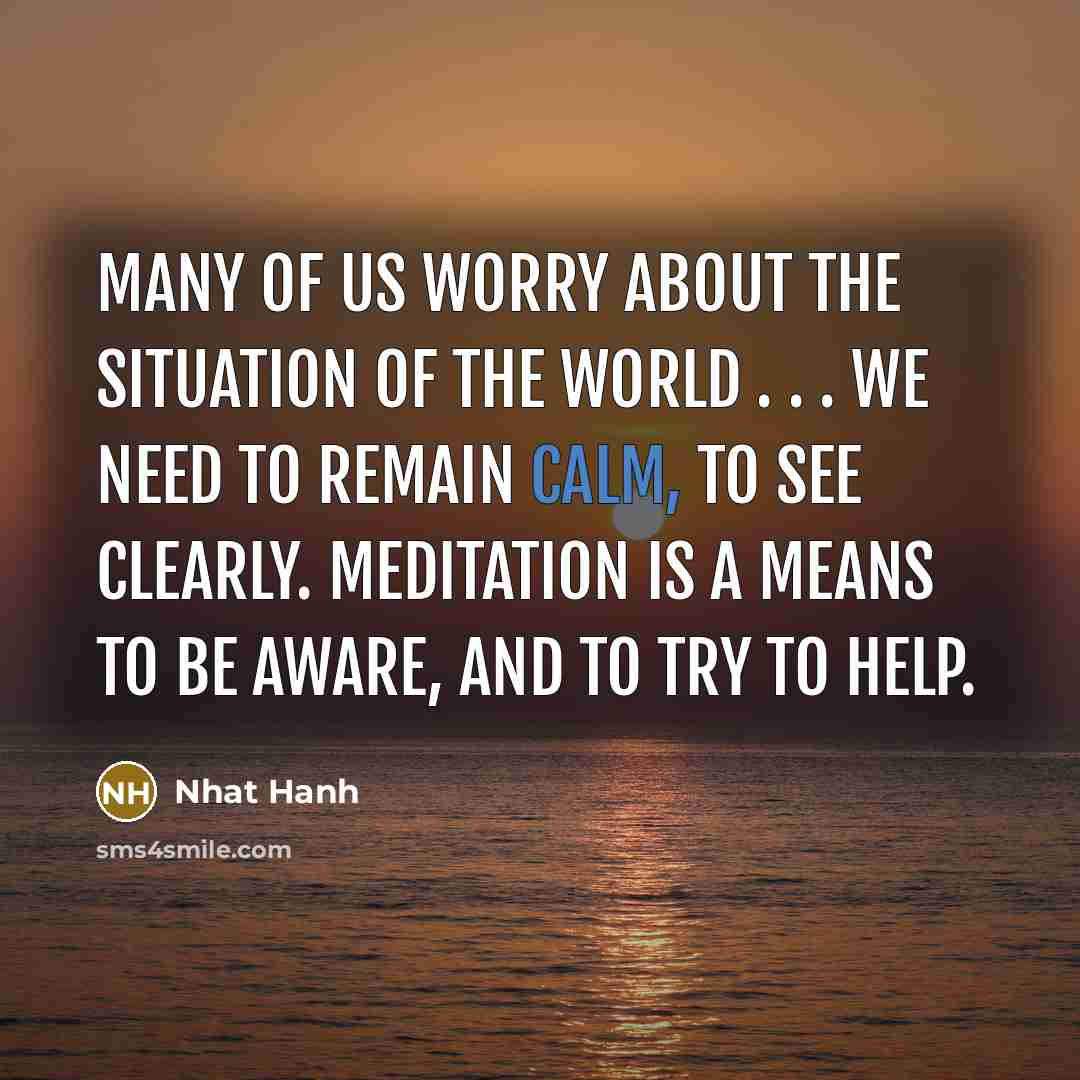 “Many of us worry about the situation of the world…” quote by Nhat Hanh