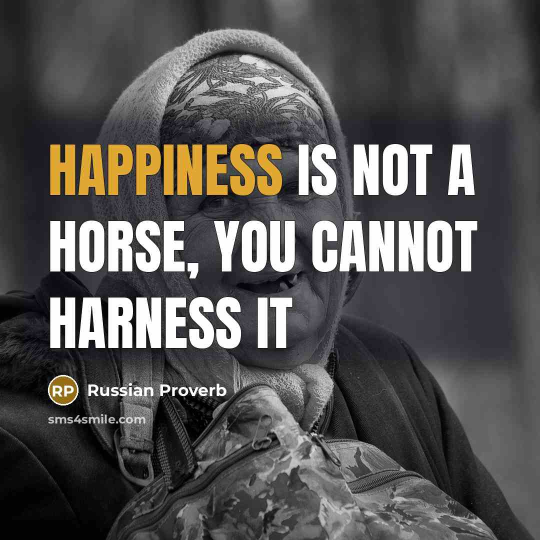 “Happiness is not a horse, you cannot harness it…” quote by Russian Proverb