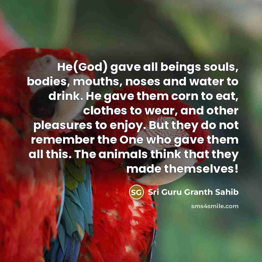 “He(God) gave all beings souls, bodies, mouths, noses and water…” quote by Sri Guru Granth Sahib
