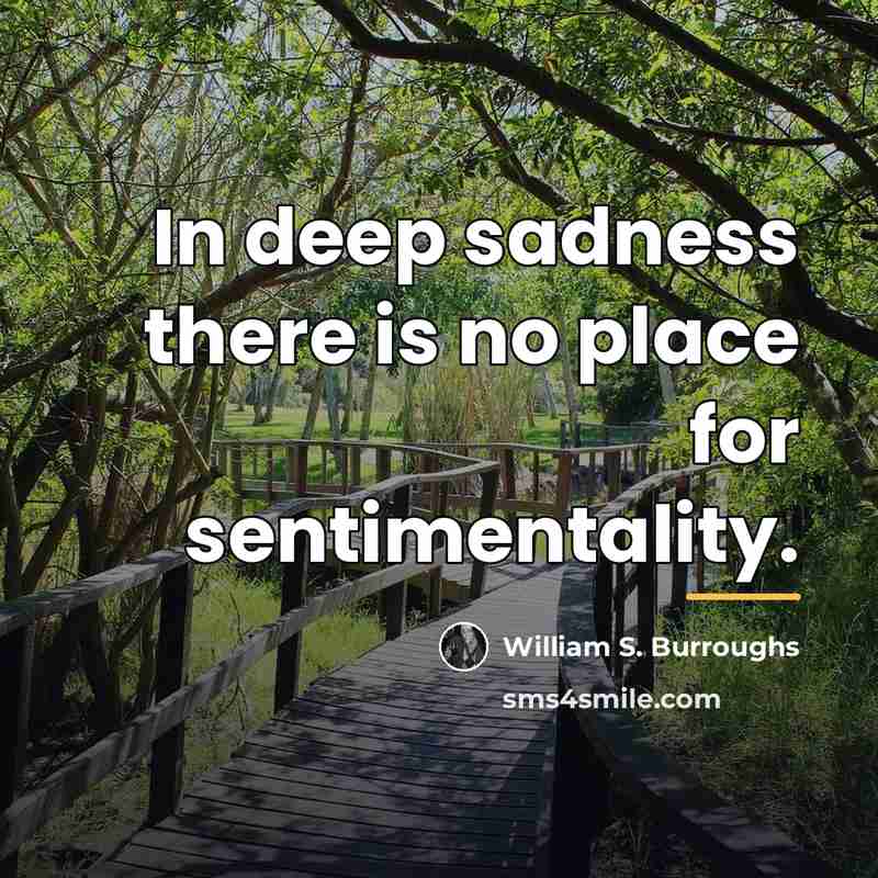 “In deep sadness there is no place for sentimentality.…” quote by William S. Burroughs