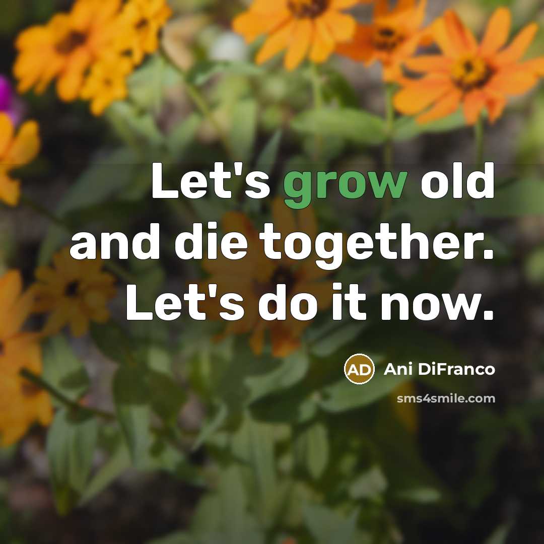“Let's grow old and die together. Let's do it now.…” quote by Ani DiFranco